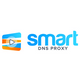 Smart DNS Proxy Logo