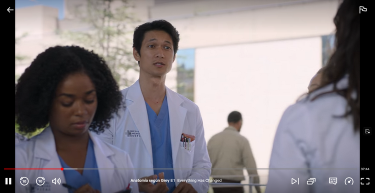 Ver Grey's Anatomy Temporada 19 en Netflix
