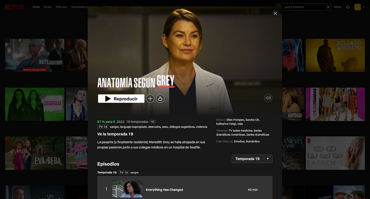 Grey's Anatomy Temporada 19 en Netflix