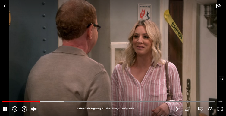 The Big Bang Theory Temporada 12 en Netflix